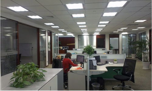 震旦国际大厦 陆家嘴核心地标，开启卓越办公新篇章