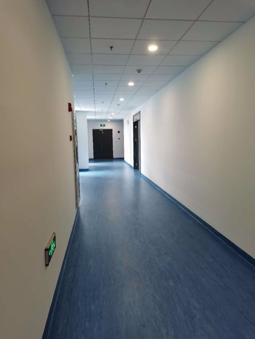 上海紫萍路百级细胞实验室全解析 210平米写字楼租售指南