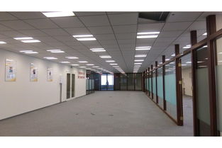 上海环球金融中心写字楼出租