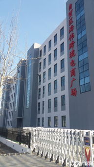 天津自贸区办公写字楼 出租与出售市场概览