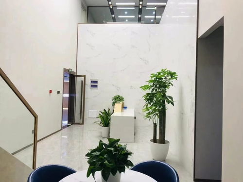 通州万达广场豪华装修办公楼出租，正对电梯大气前台